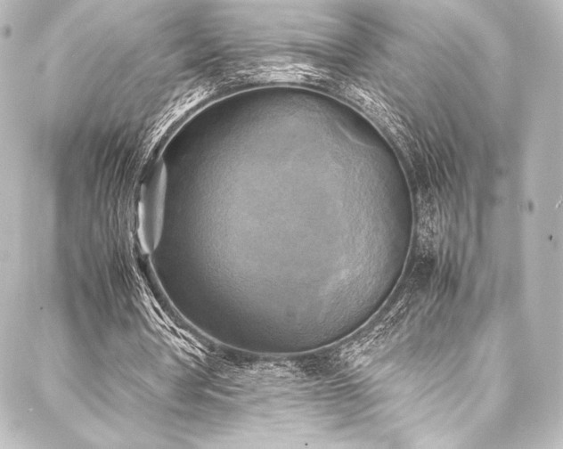 X0000088190386200705151250