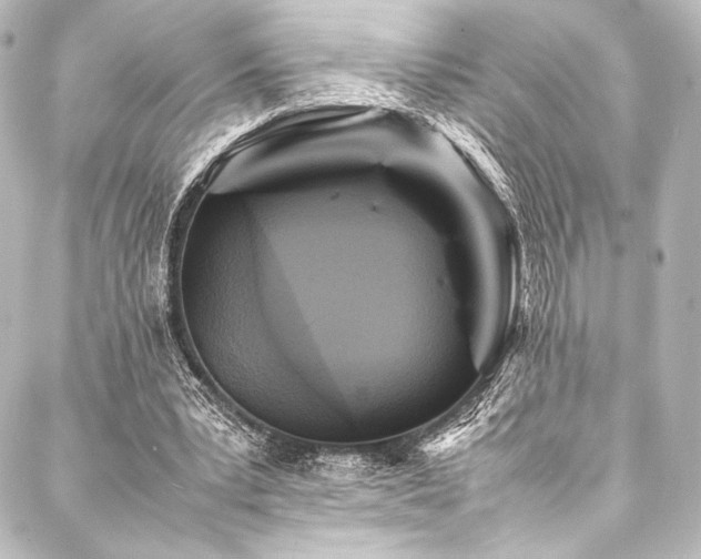 X0000088190391200705151250