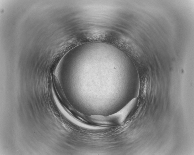 X0000088190416200705151250