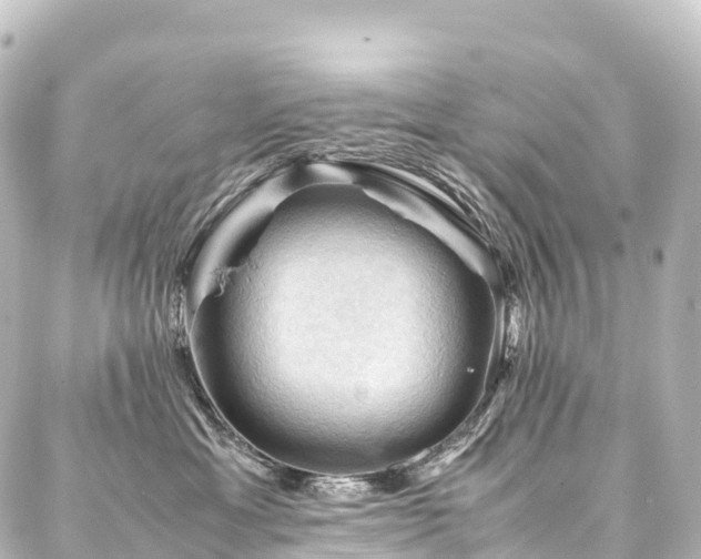 X0000088190429200705151249
