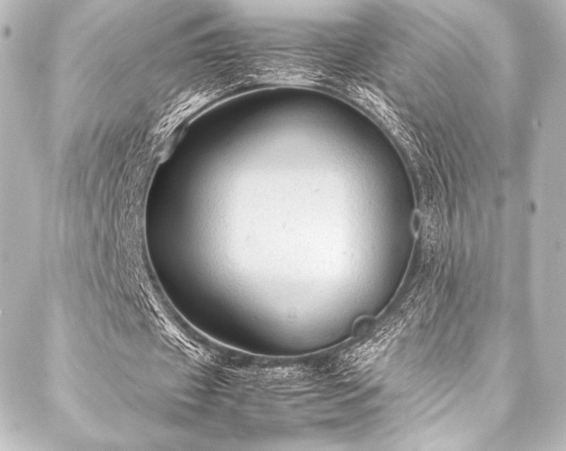 X0000088190433200705151249
