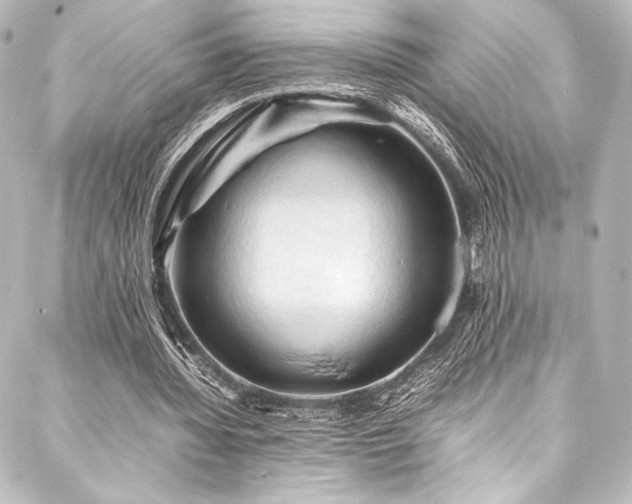 X0000088190436200705151249