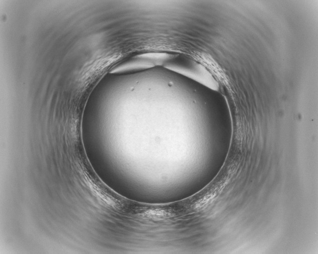 X0000088190441200705151249
