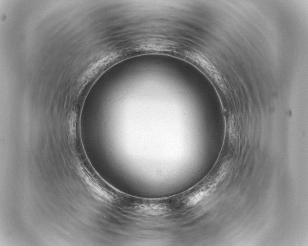 X0000088190445200705151249