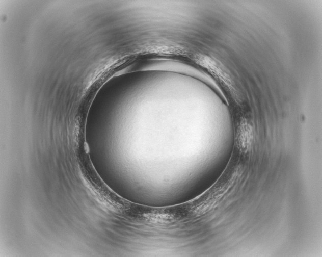X0000088190448200705151249