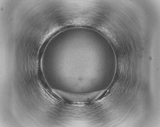X0000088190488200705151248