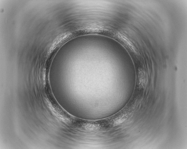 X0000088190494200705151248
