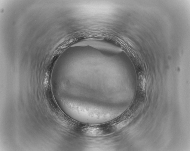 X0000088190507200705151248