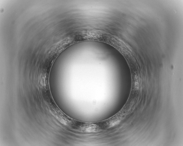 X0000088190514200705151248