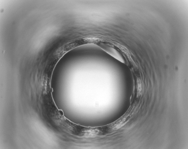 X0000088190525200705151248