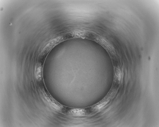 X0000088190526200705151248