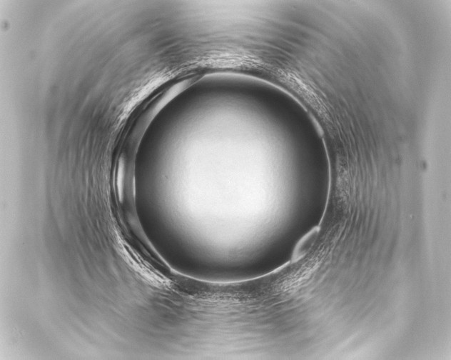 X0000088190530200705151247