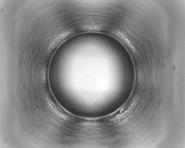 X0000088190537200705151247
