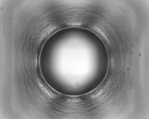 X0000088190541200705151247