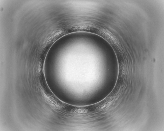 X0000088190546200705151247