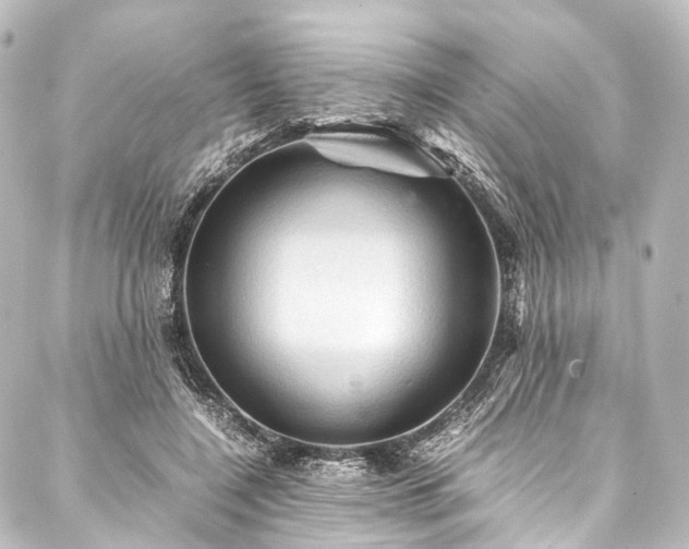 X0000088190548200705151247