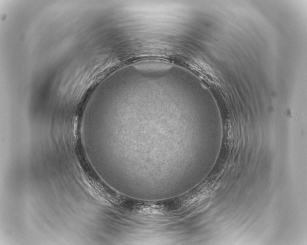 X0000088190550200705151247