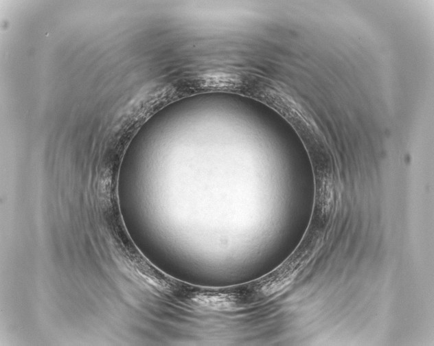 X0000088190557200705151247