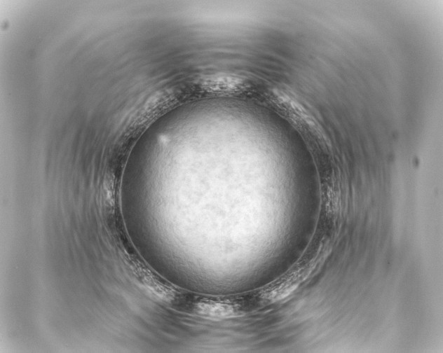 X0000088190561200705151247