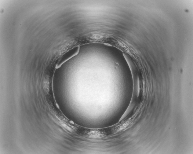 X0000088190562200705151247