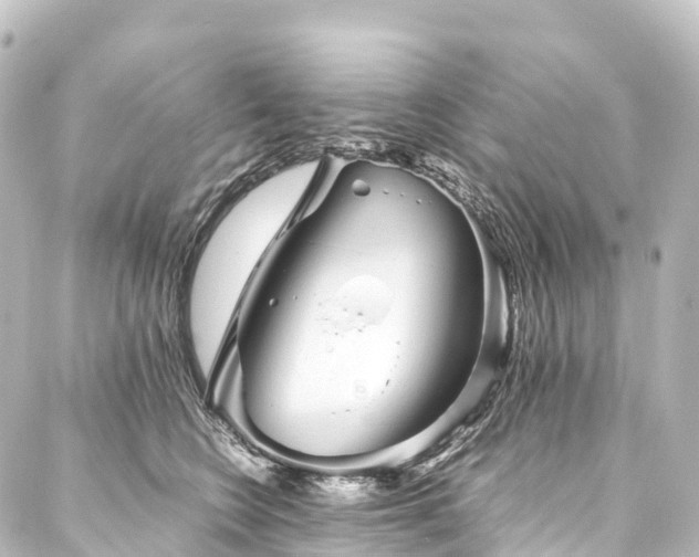 X0000088190566200705151248
