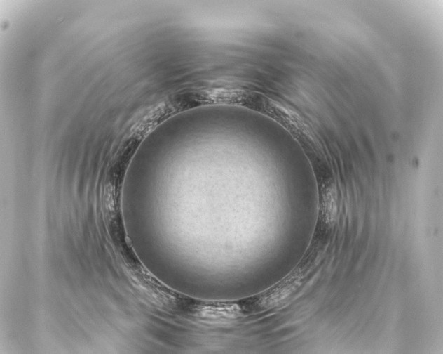 X0000088190571200705151248