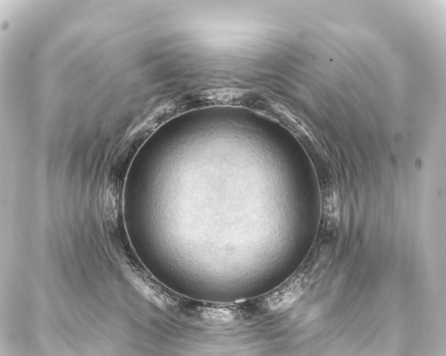 X0000088190572200705151248