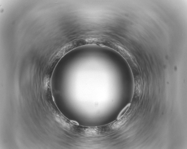 X0000088190574200705151248