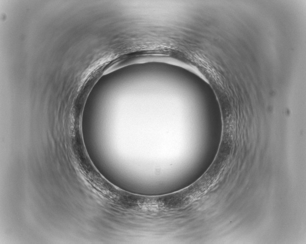X0000088190587200705151247