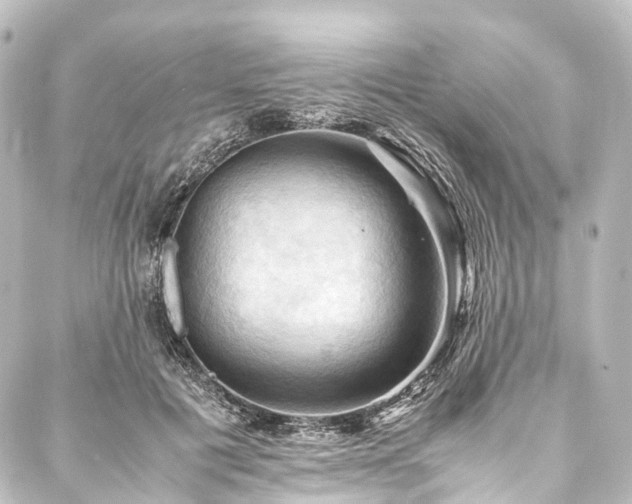 X0000088190601200705151247