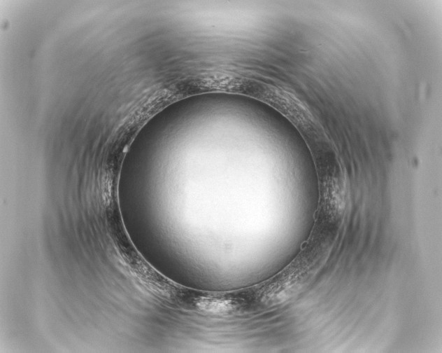 X0000088190602200705151247