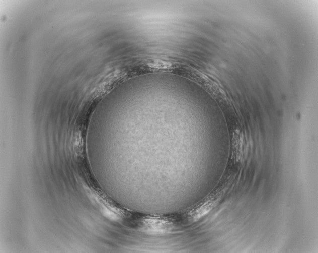 X0000088190614200705151246