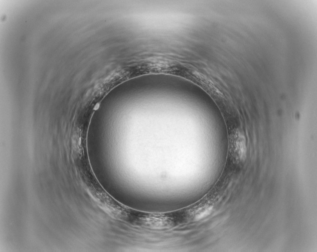 X0000088190615200705151246