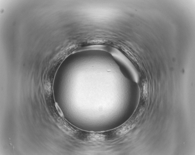 X0000088190617200705151246