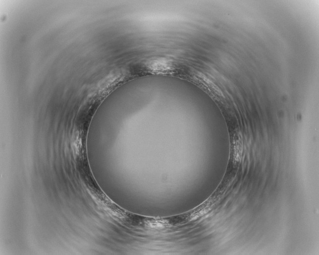 X0000088190618200705151246