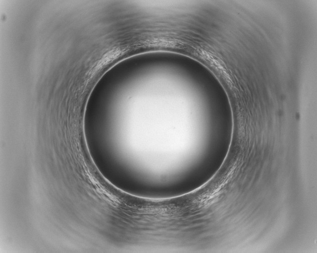 X0000088190625200705151245