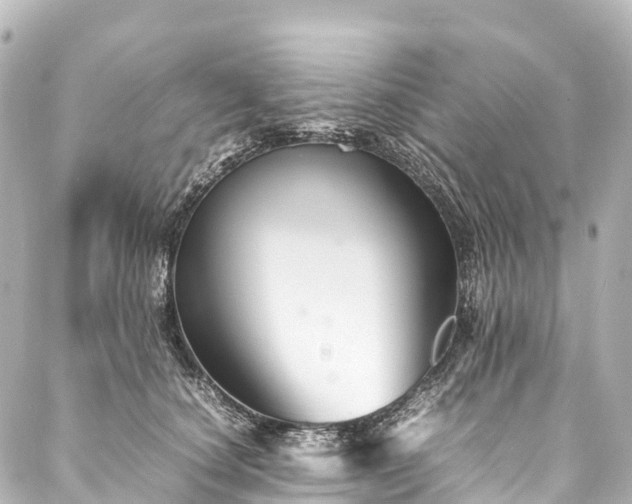 X0000088190660200705151246