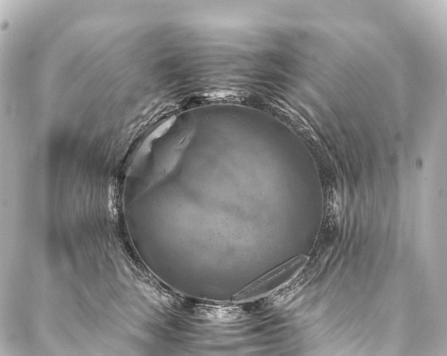 X0000088190663200705151246