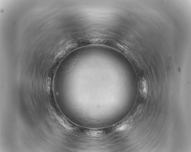 X0000088190664200705151246
