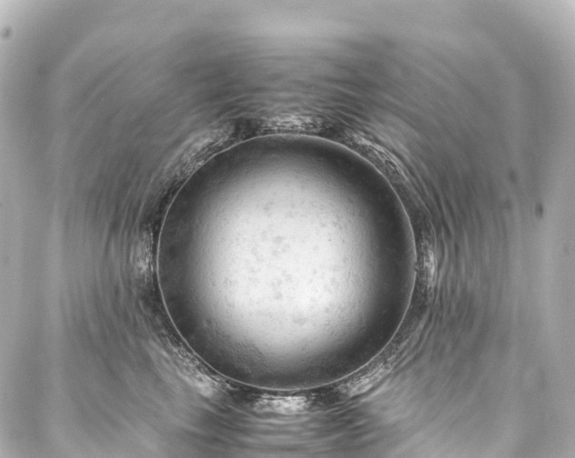 X0000088190665200705151246