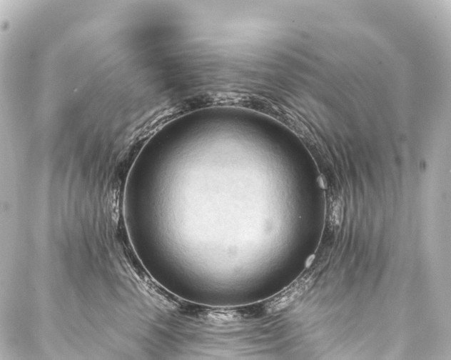 X0000088190666200705151246