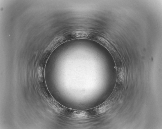 X0000088190667200705151246