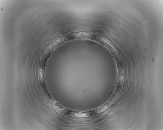 X0000088190669200705151246