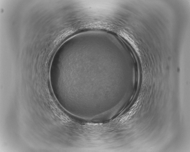 X0000088190673200705151245