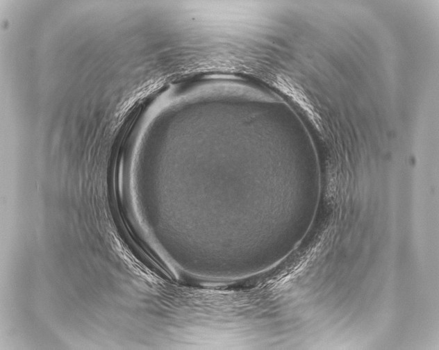 X0000088190681200705151245