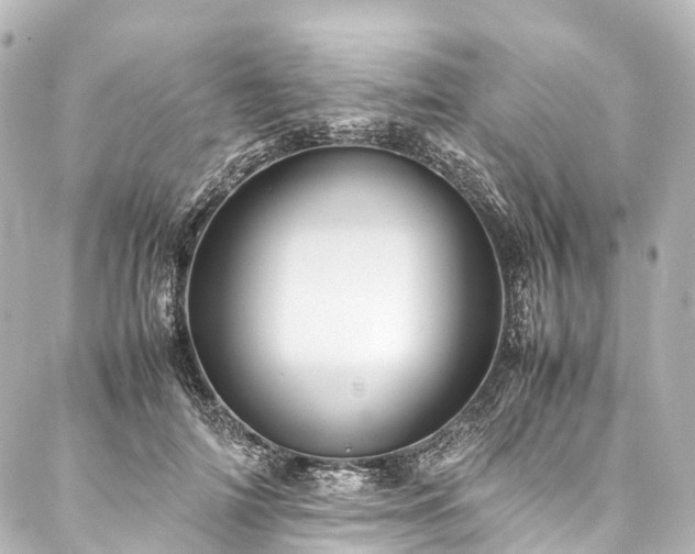 X0000088190698200705151245