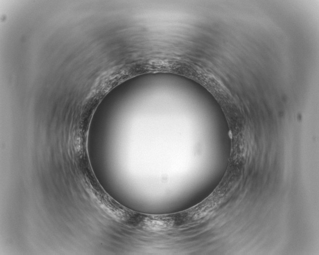 X0000088190706200705151245