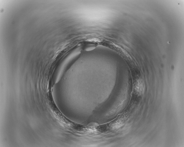 X0000088190715200705151245