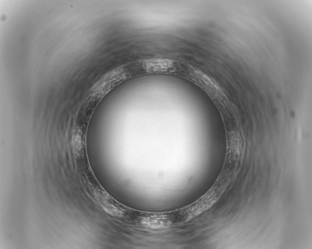 X0000088190761200705151245