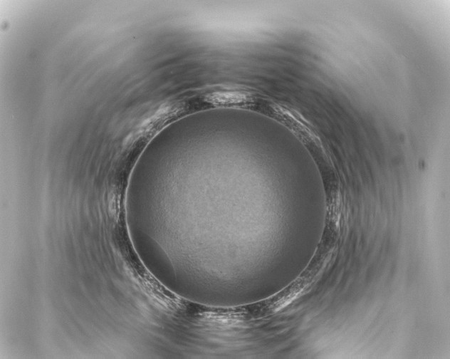 X0000088190763200705151245